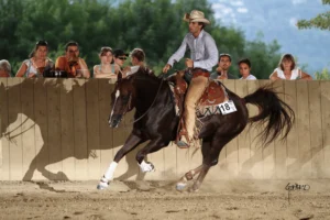 Horizon Big Step, Quarter Horse en pleine action dans un concours