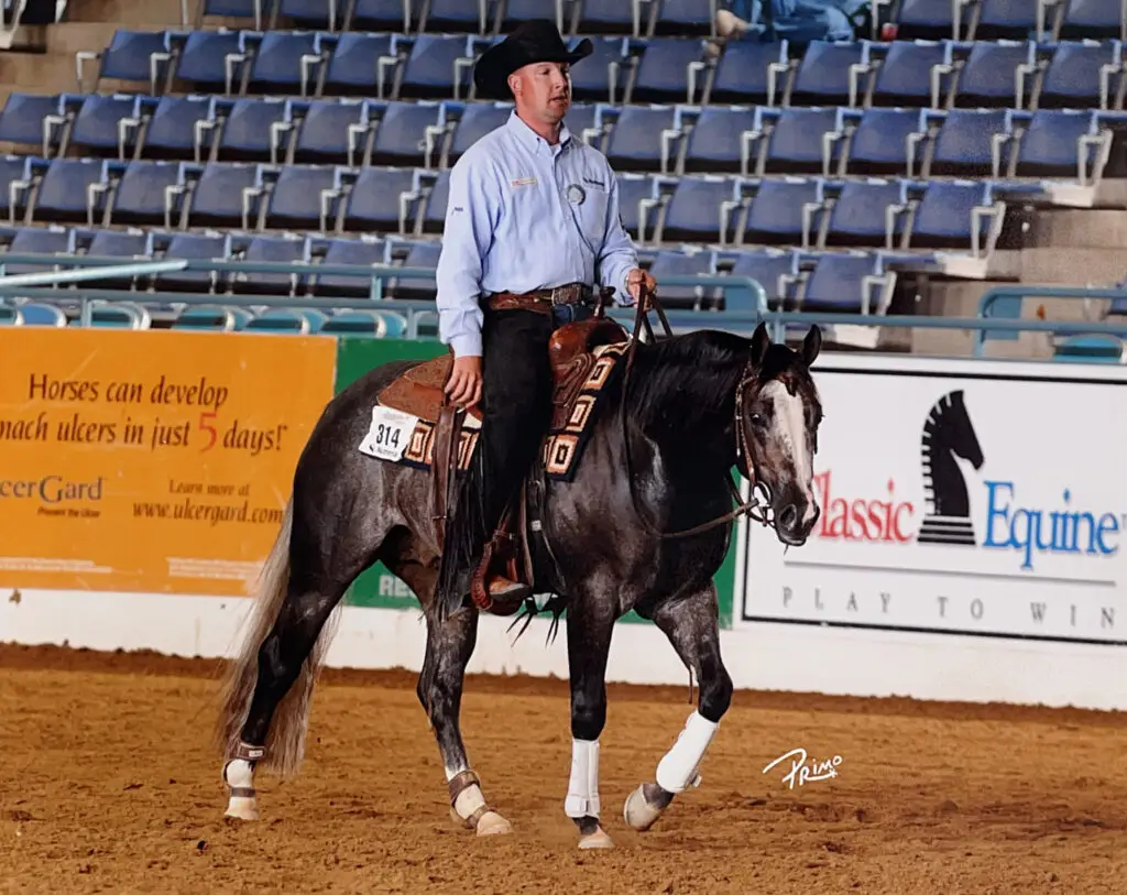 Cheval de Reining Quarter Horse en pleine action dans un concours de cow horse