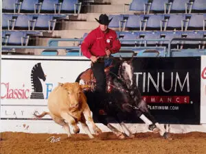 Cheval de Reining Quarter Horse en pleine action dans un concours de cow horse