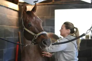 image de soin fait par charlotte reynaud