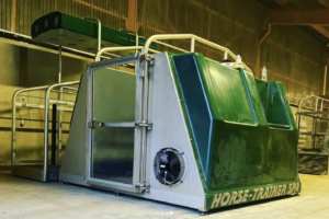 installation de spa à cm quarter horses