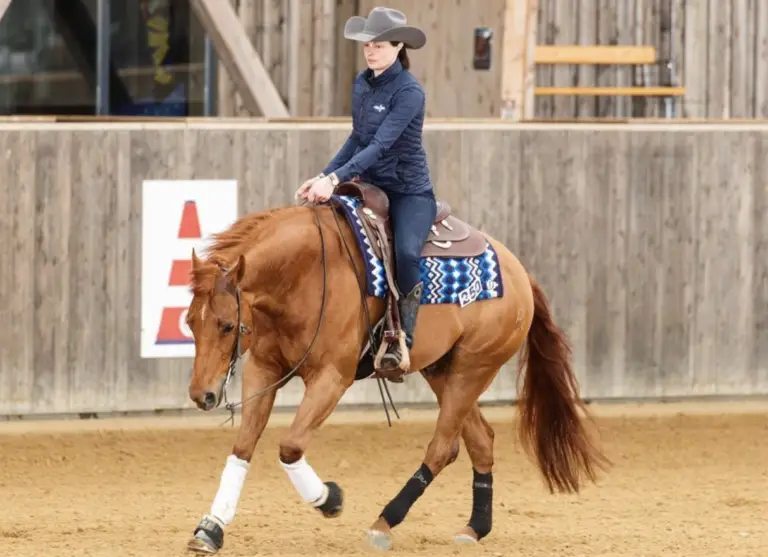 Cheval de Reining Quarter Horse en pleine action dans un concours avec Clémence Neveux