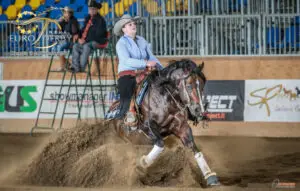 Cheval de course Quarter Horse en pleine action dans un champ