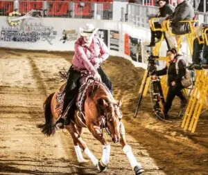 Découvrez Topsail O Sugar, notre jument Quarter Horse remarquable chez CM Quarter Horses.