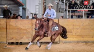 Sierra Whiz Jac​, Quarter Horse en pleine action dans un concours