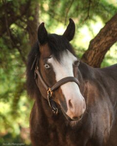 Sheza Gun Del Cielo en photo de profil