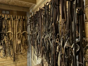 photo sellerie Cm Quarter Horses