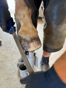 Jérome Farrenc, JCF Maréchalerie