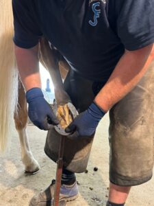 Jérome Farrenc, JCF Maréchalerie